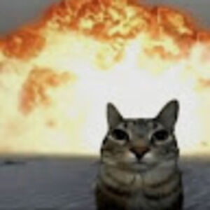 Meet your Posher, Sydney